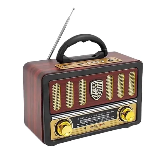 Hordozható Bluetooth rádió YG-114BT