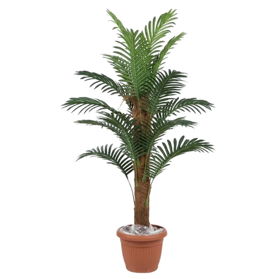Dekoratív mű pálma törzses kivitel kaspóban PALM3